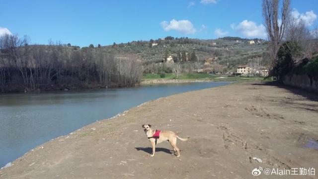 英雄联盟直播-【专栏】王勤伯：内心有狗